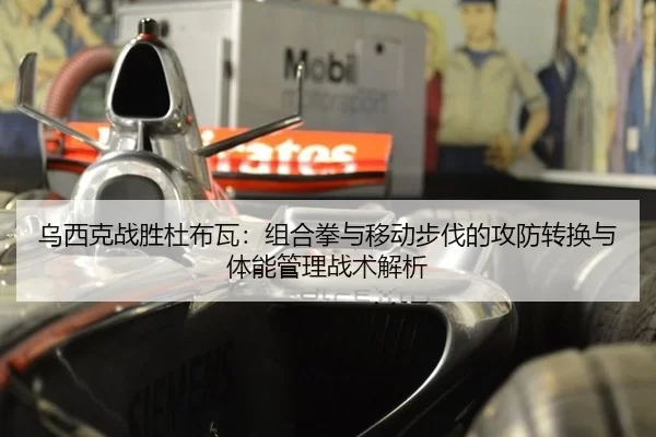 乌西克战胜杜布瓦：组合拳与移动步伐的攻防转换与体能管理战术解析